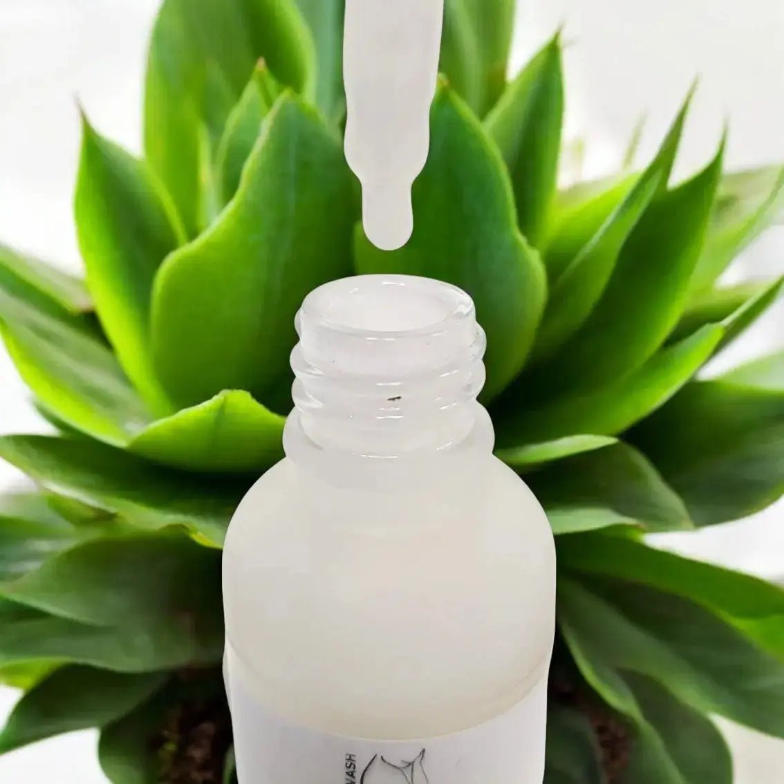 Quench It – Hydrating Serum.